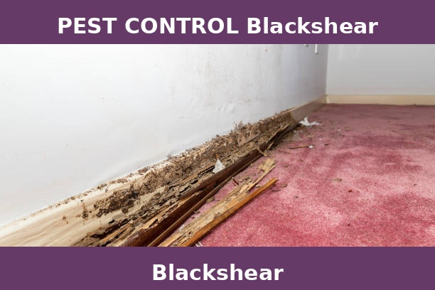 PEST CONTROL Blackshear